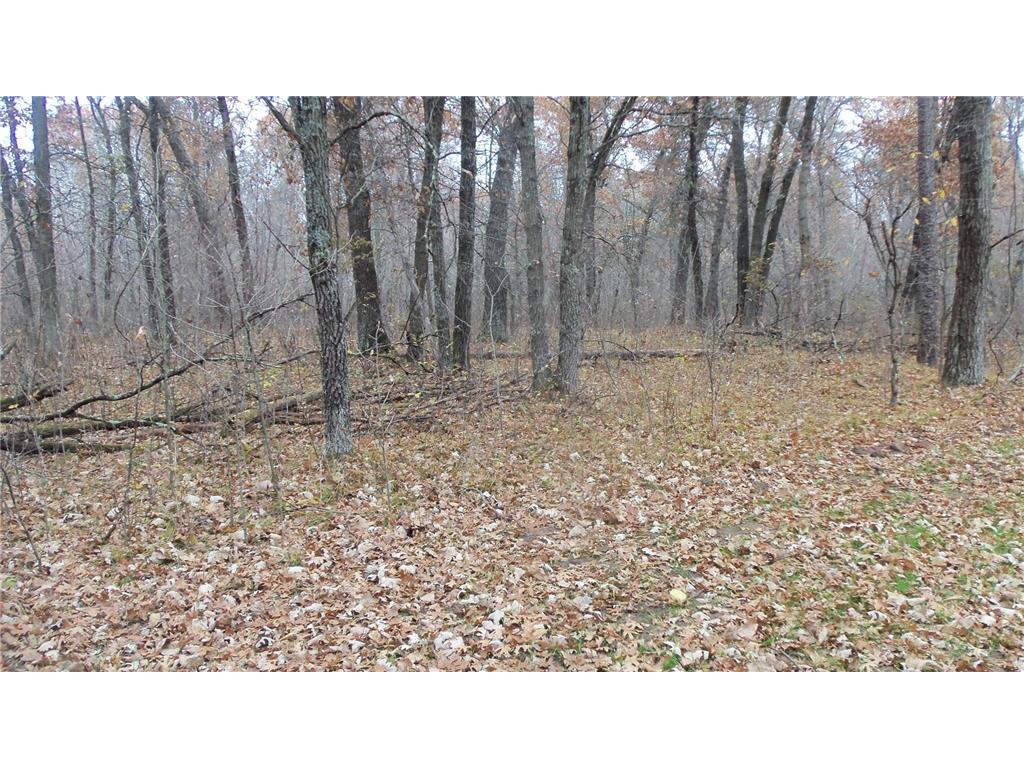 Lot 4 East River Rd Anderson Twp WI 54840 6814577 image17