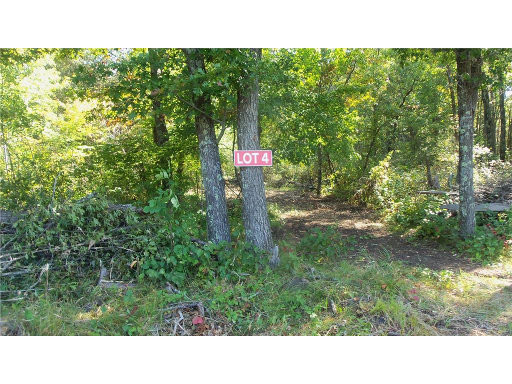 Lot 4 East River Rd Anderson Twp WI 54840 6814577 image2