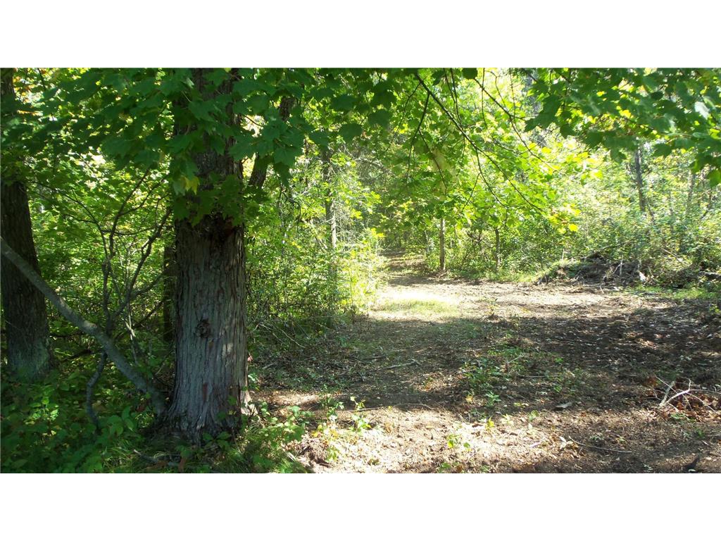 Lot 4 East River Rd Anderson Twp WI 54840 6814577 image3
