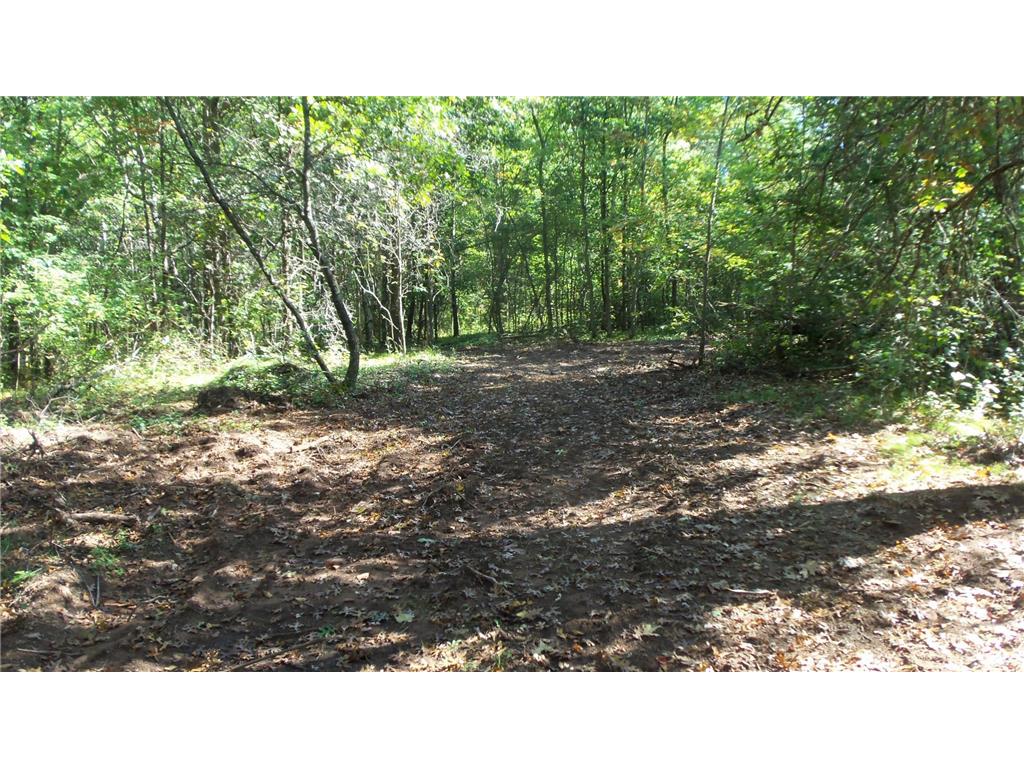 Lot 4 East River Rd Anderson Twp WI 54840 6814577 image4