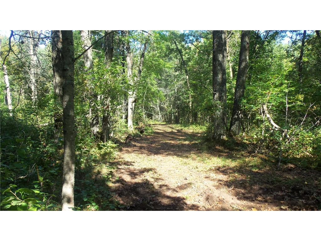 Lot 4 East River Rd Anderson Twp WI 54840 6814577 image5