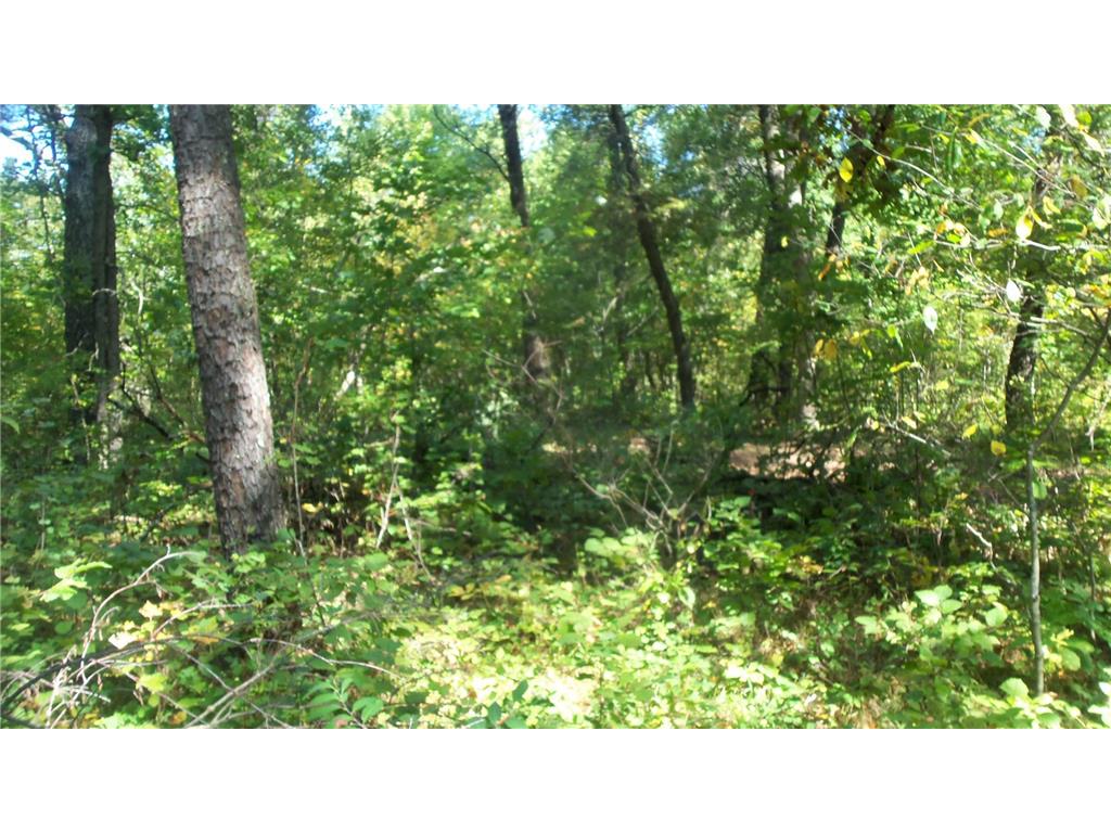 Lot 4 East River Rd Anderson Twp WI 54840 6814577 image6