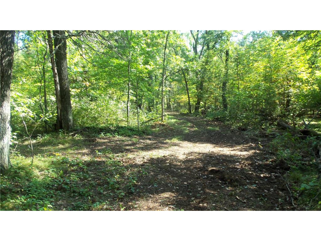 Lot 4 East River Rd Anderson Twp WI 54840 6814577 image7