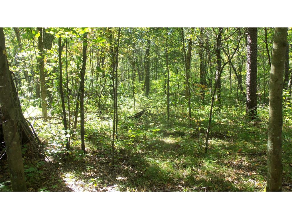 Lot 4 East River Rd Anderson Twp WI 54840 6814577 image8
