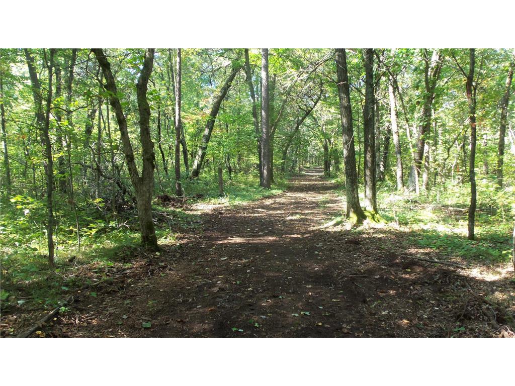 Lot 4 East River Rd Anderson Twp WI 54840 6814577 image9