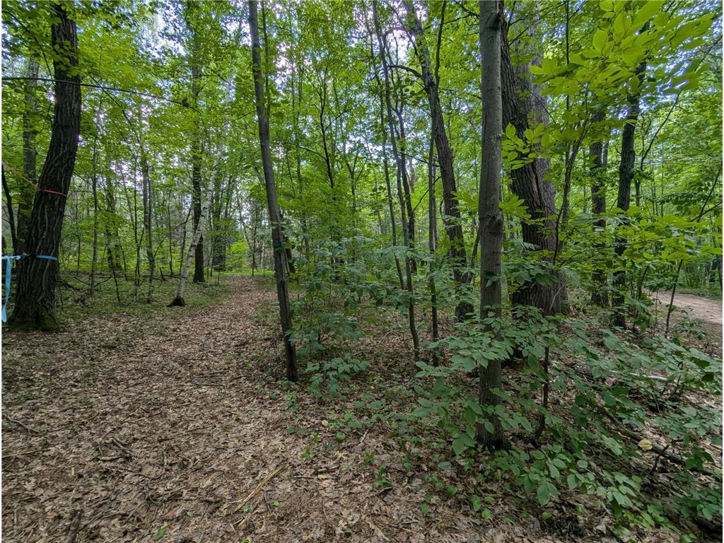 Lot 4 Fosmo La Follette Twp WI 54893 - Big Sand Lake 7041587 image1