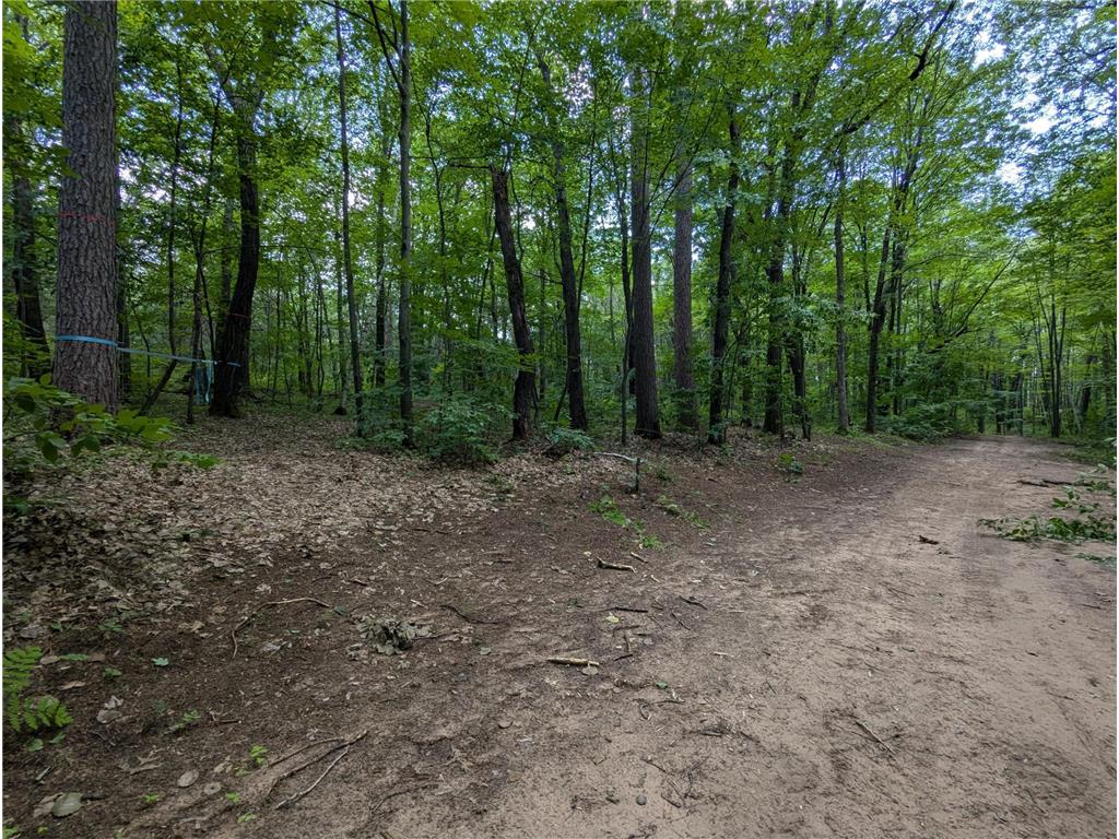 Lot 4 Fosmo La Follette Twp WI 54893 - Big Sand Lake 7041587 image3