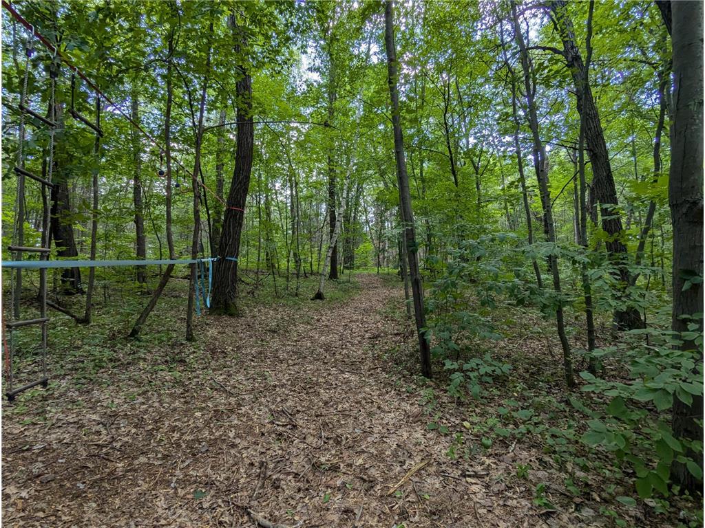 Lot 4 Fosmo La Follette Twp WI 54893 - Big Sand Lake 7041587 image4