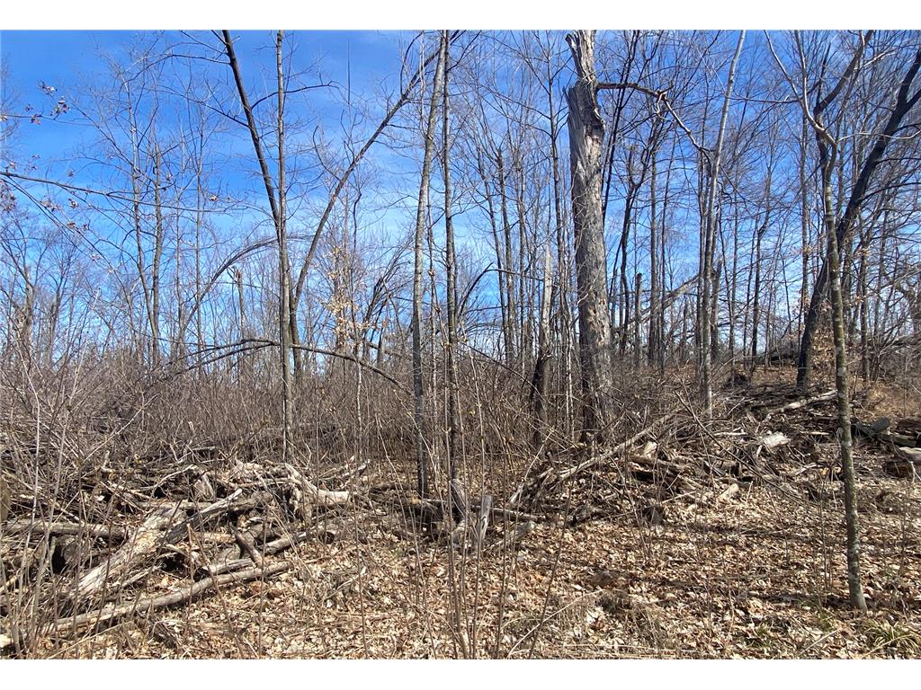 Lot 4 Greatwood Ln Beaver Twp WI 54889 - Horseshoe Lake 6627142 image1