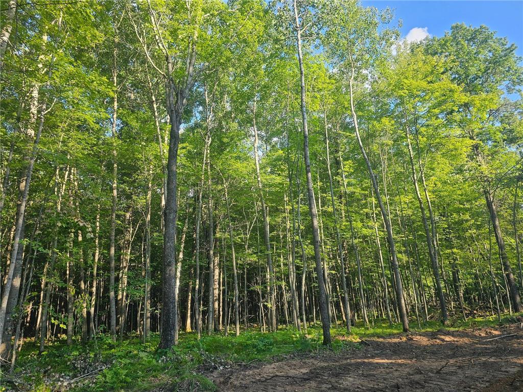 Lot 4 Ken Can Lane Jackson Twp WI 54893 6780137 image2