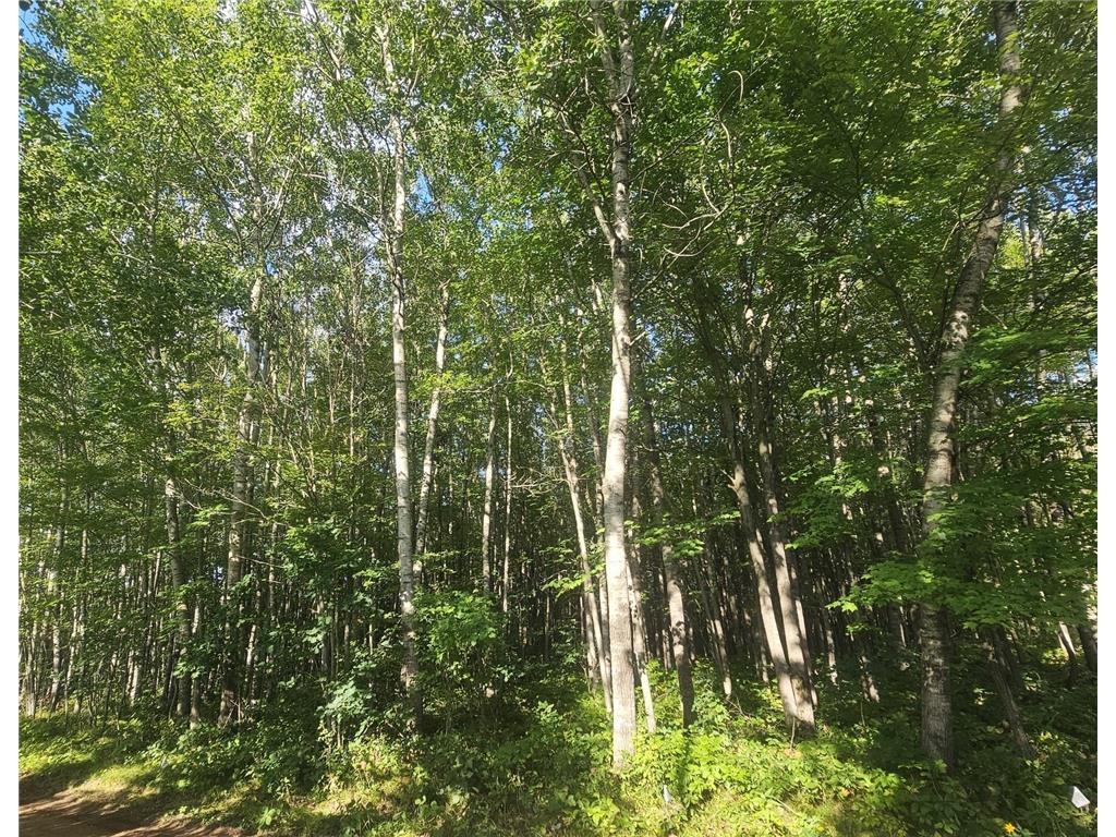 Lot 4 Ken Can Lane Jackson Twp WI 54893 6780137 image4