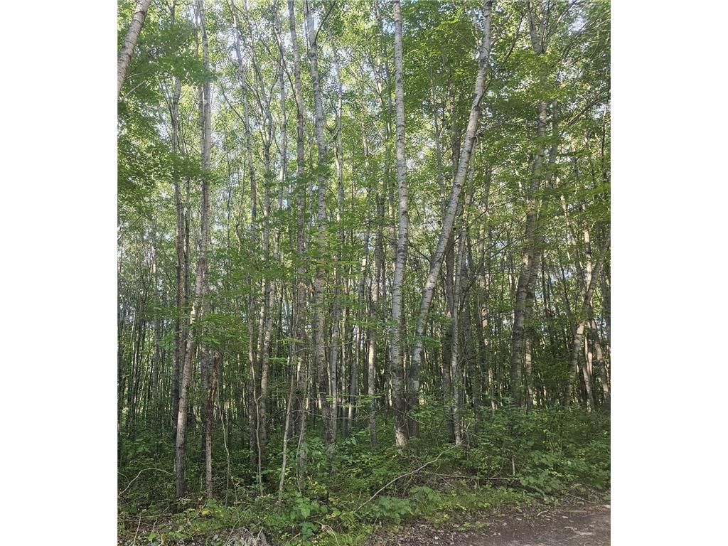 Lot 4 Ken Can Lane Jackson Twp WI 54893 6780137 image5