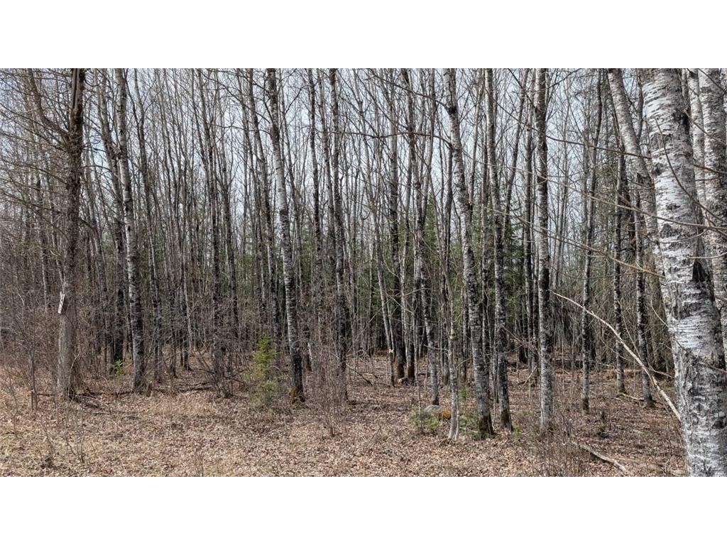 Lot 4 Lund Road Cook MN 55723 7072231 image8