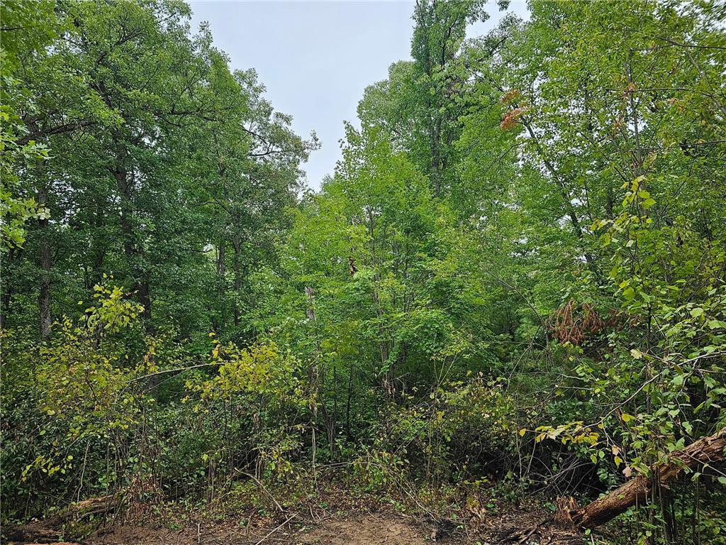 Lot 4 Maria's Way Webster WI 54893 6438029 image1