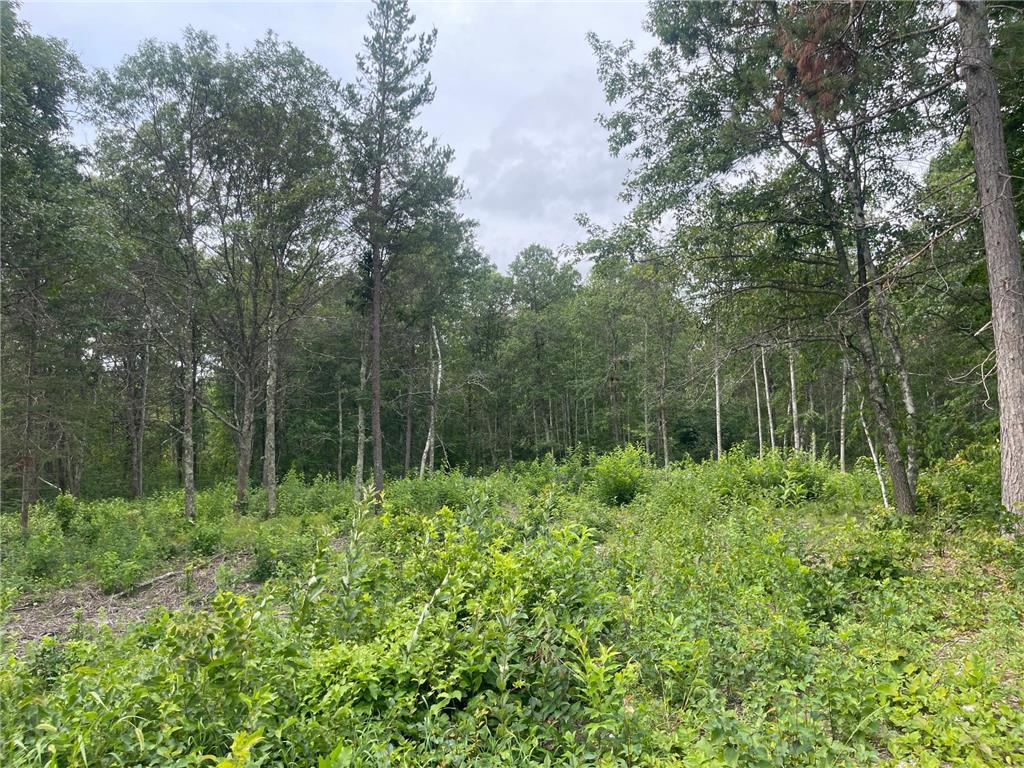 Lot 4 Patriot Ave Pequot Lakes MN 56472 6695206 image1