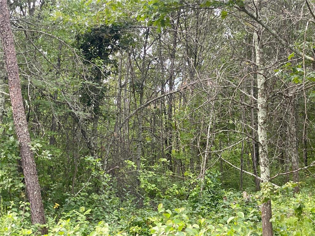 Lot 4 Patriot Ave Pequot Lakes MN 56472 6695206 image2