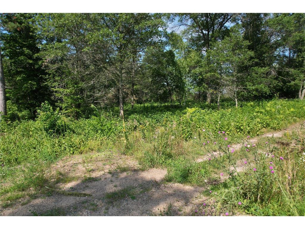 Lot 4 Patriot Ave Pequot Lakes MN 56472 6695206 image30