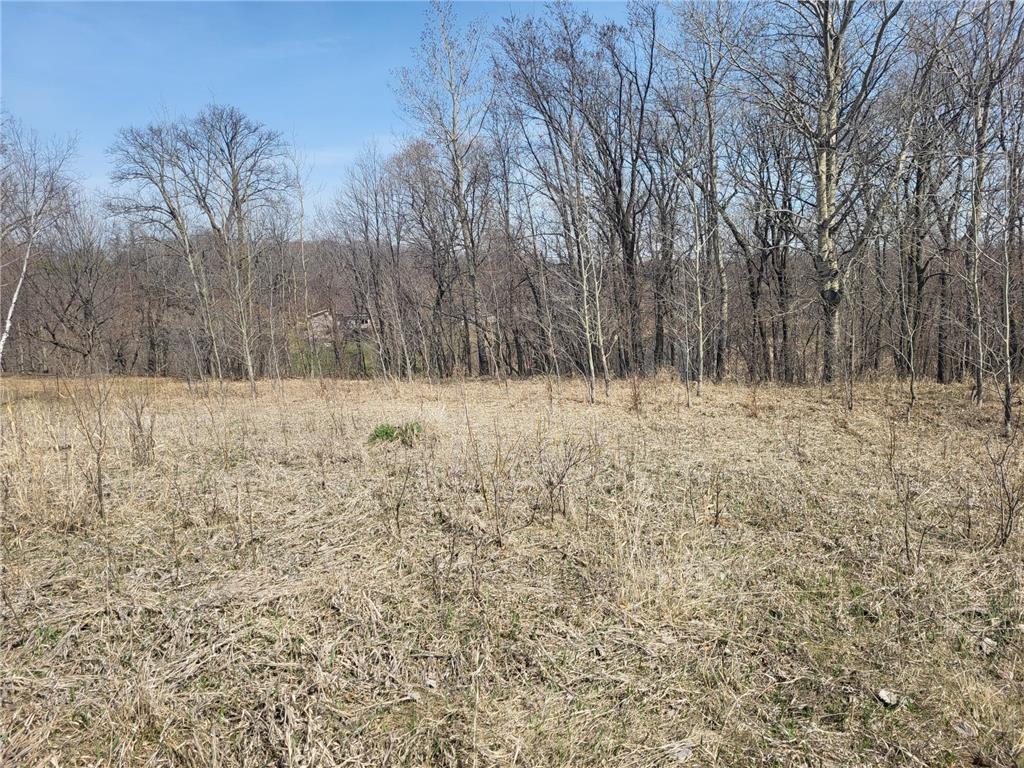 Lot 4 River Pointe Trail Underwood MN 56586 - Otter Tail River 7027185 image15