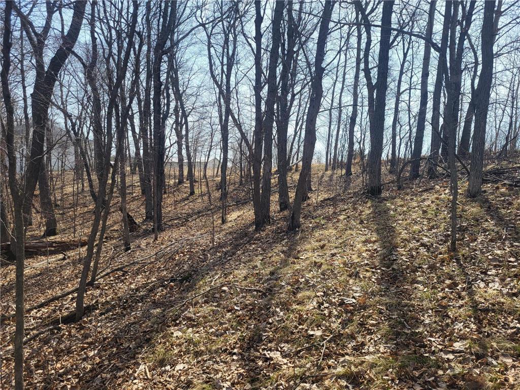 Lot 4 River Pointe Trail Underwood MN 56586 - Otter Tail River 7027185 image16