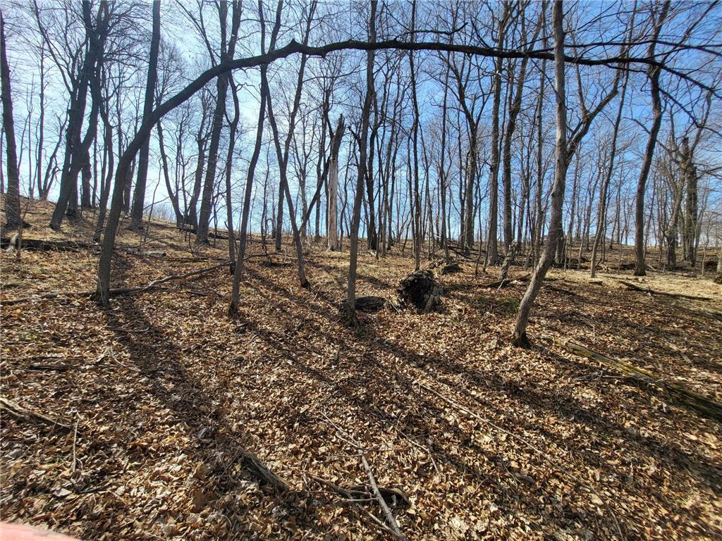 Lot 4 River Pointe Trail Underwood MN 56586 - Otter Tail River 7027185 image20