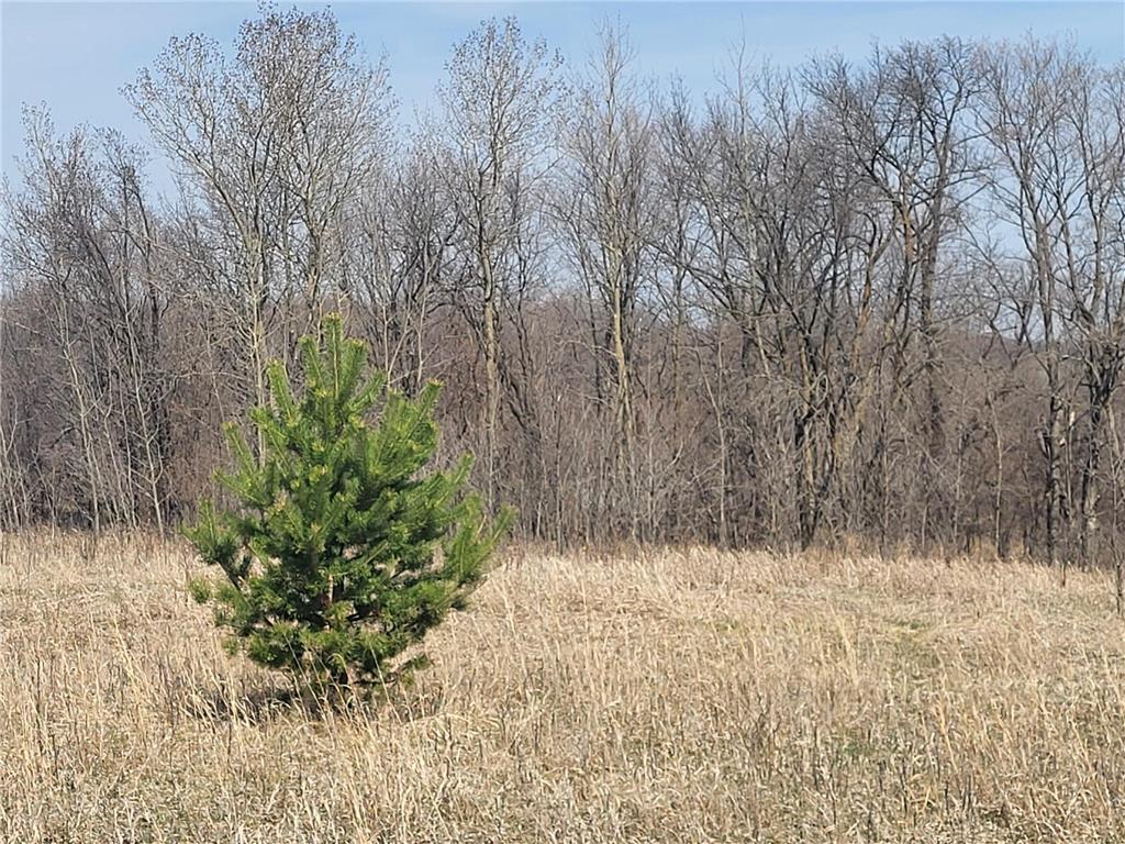 Lot 4 River Pointe Trail Underwood MN 56586 - Otter Tail River 7027185 image23