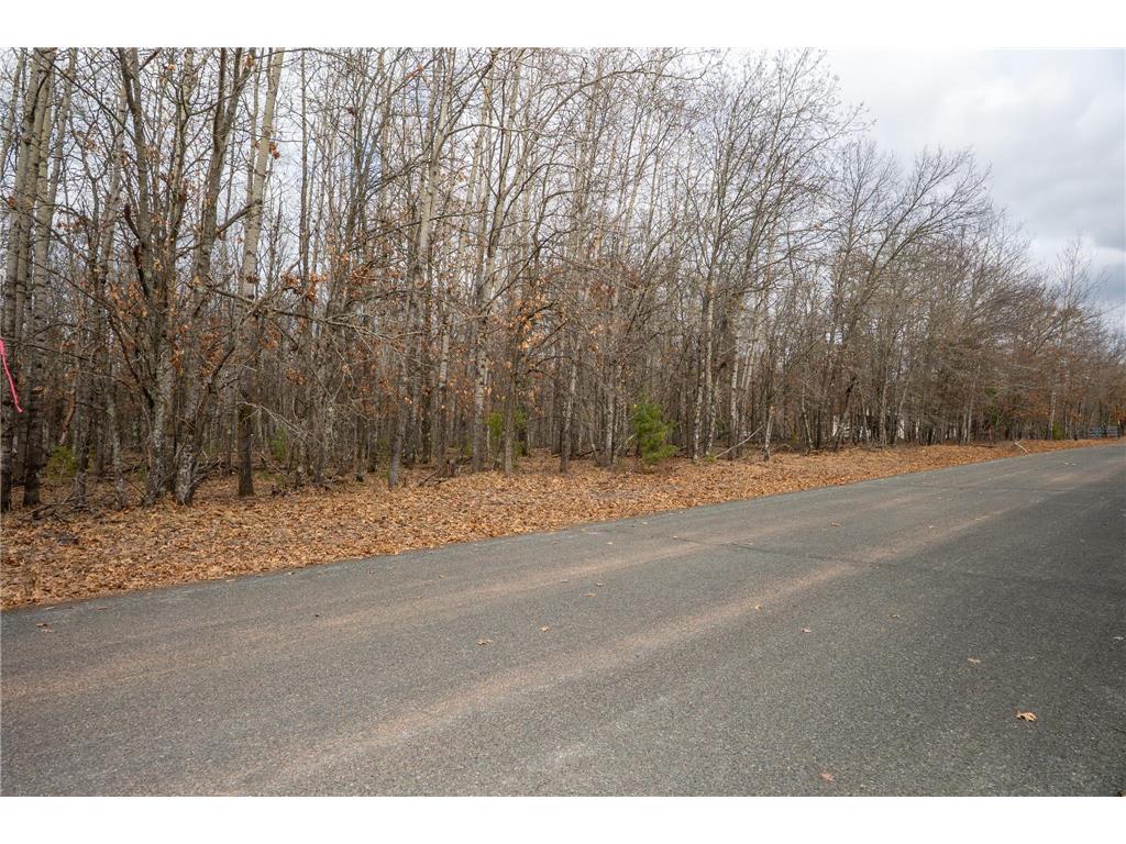 Lot 4 S Madison Avenue Wascott WI 54838 7047555 image5