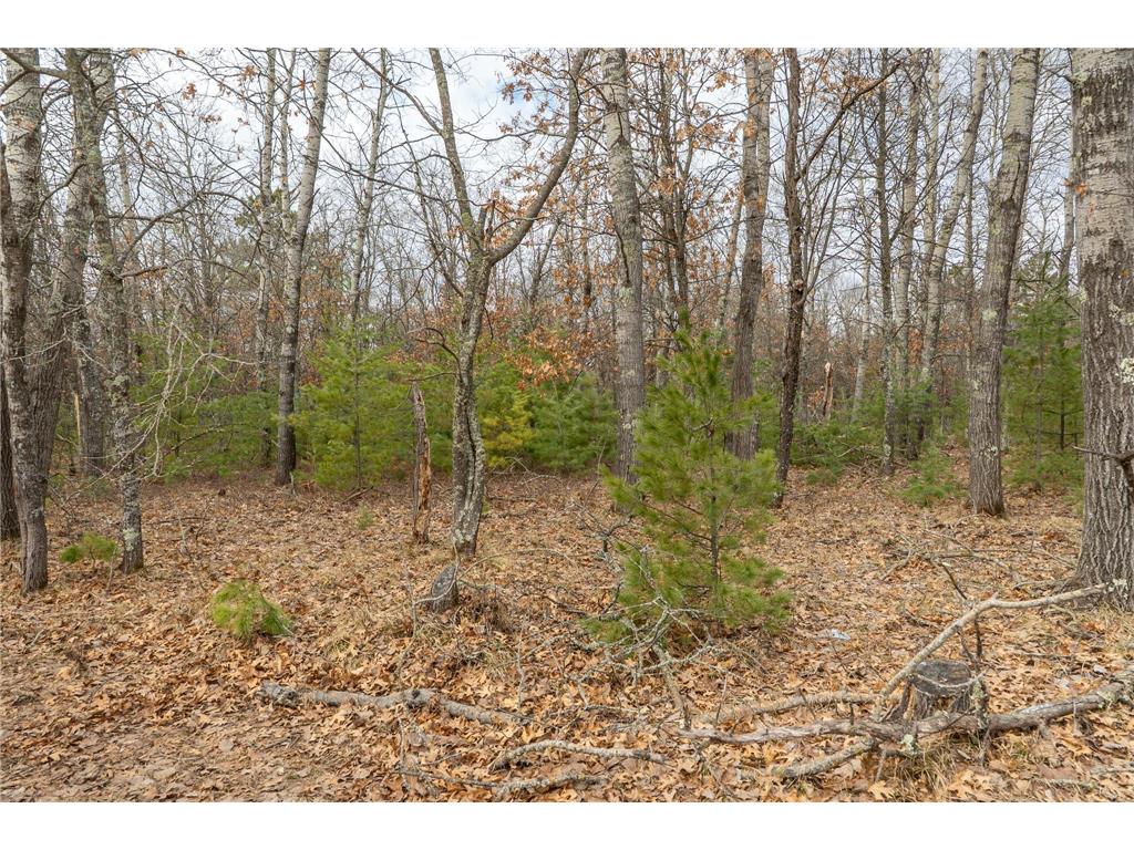 Lot 4 S Madison Avenue Wascott WI 54838 7047555 image6