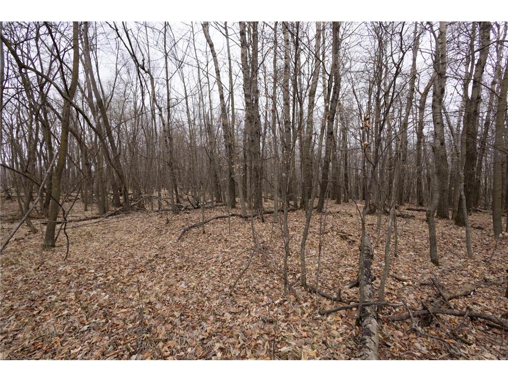 Lot 4 Saylers Beach Road Lake Park MN 56554 7052722 image5