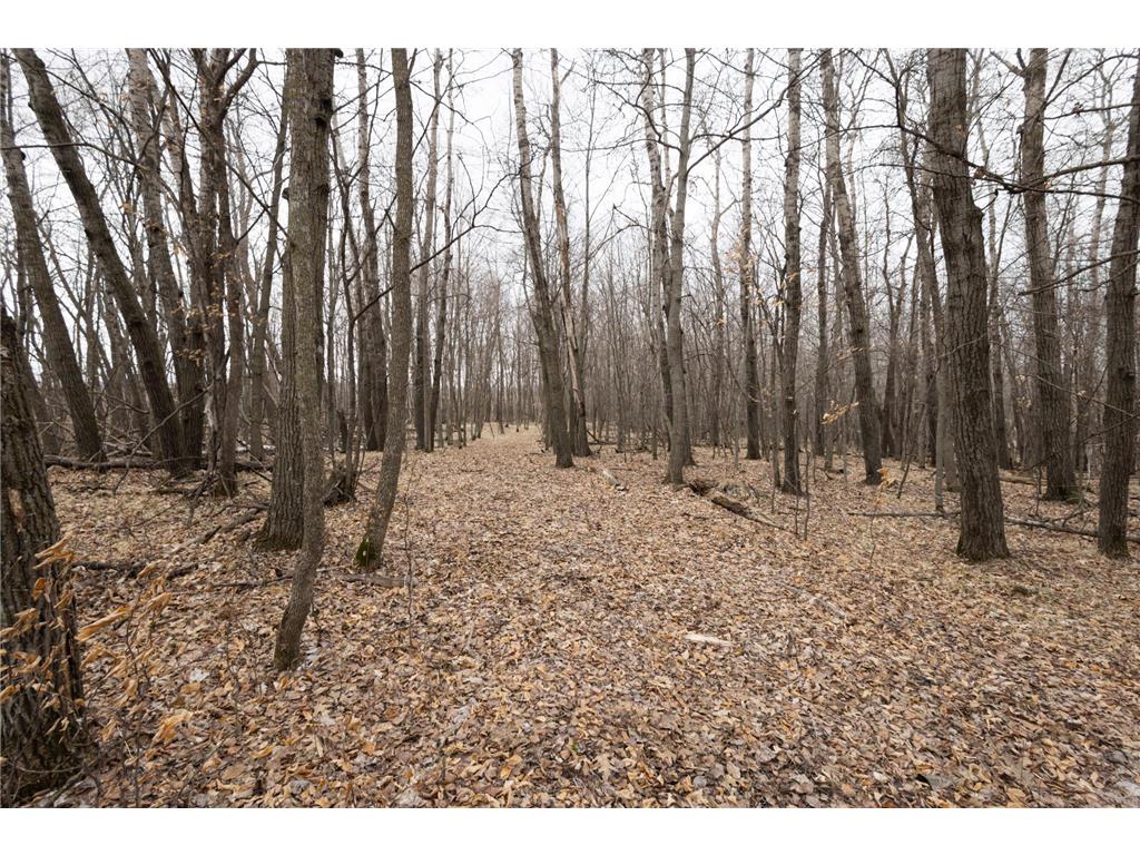 Lot 4 Saylers Beach Road Lake Park MN 56554 7052722 image6
