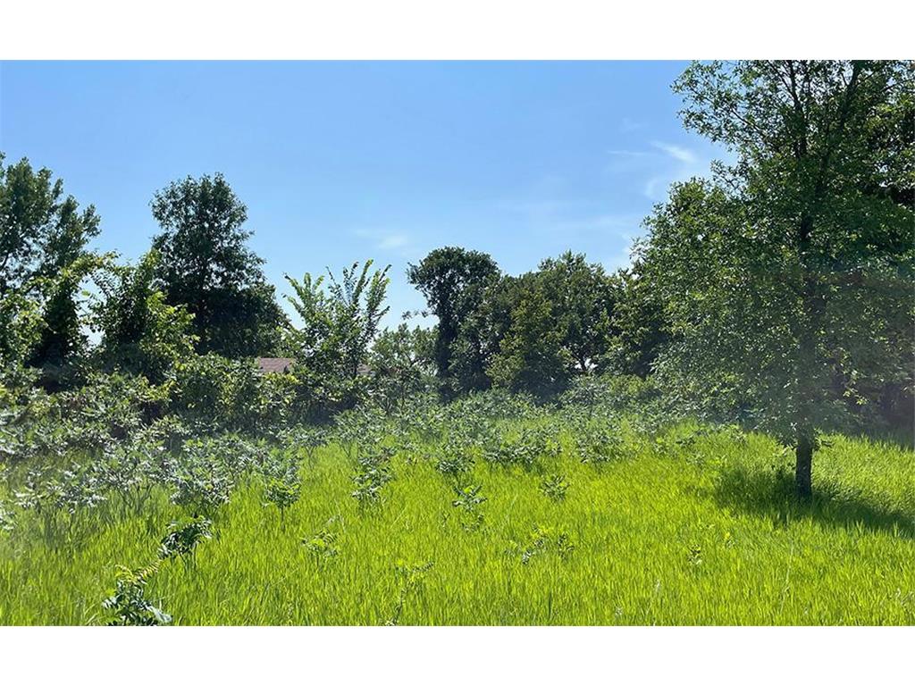 Lot 4 Seclusion Point Road Dent MN 56528 - McDonald Lake 6757771 image5