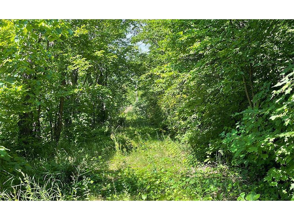Lot 4 Seclusion Point Road Dent MN 56528 - McDonald Lake 6757771 image8