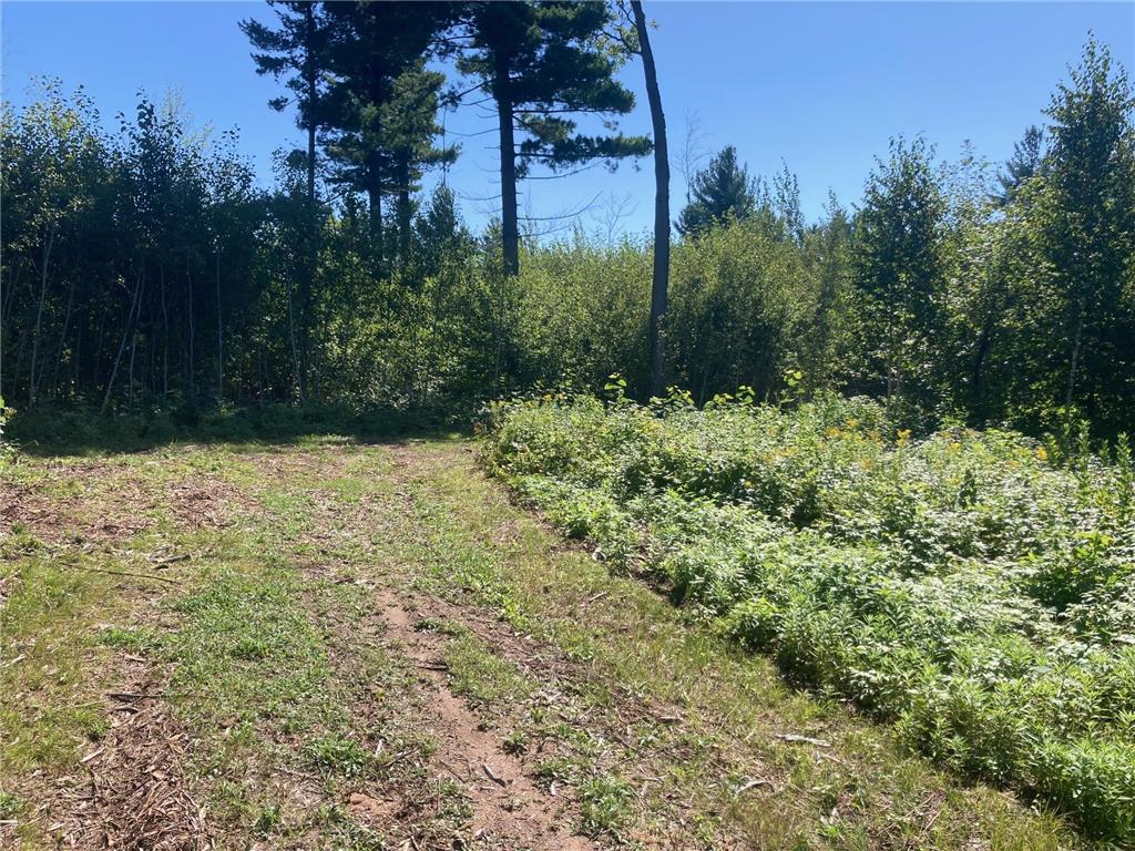 Lot 4 Surely Drive Siren Twp WI 54872 6673510 image19