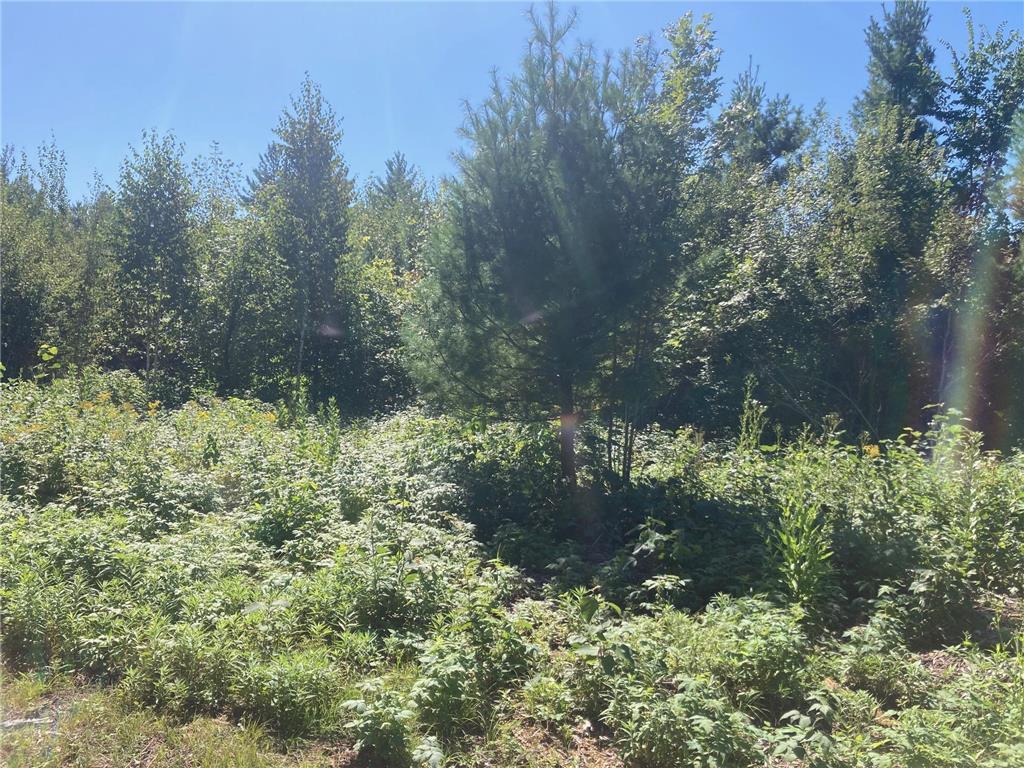 Lot 4 Surely Drive Siren Twp WI 54872 6673510 image20