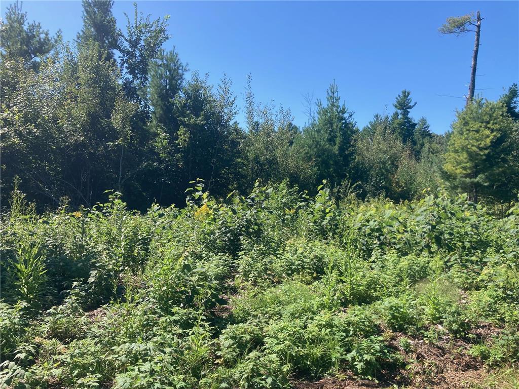 Lot 4 Surely Drive Siren Twp WI 54872 6673510 image21