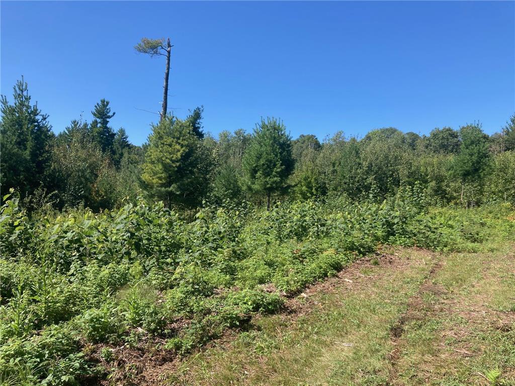 Lot 4 Surely Drive Siren Twp WI 54872 6673510 image22