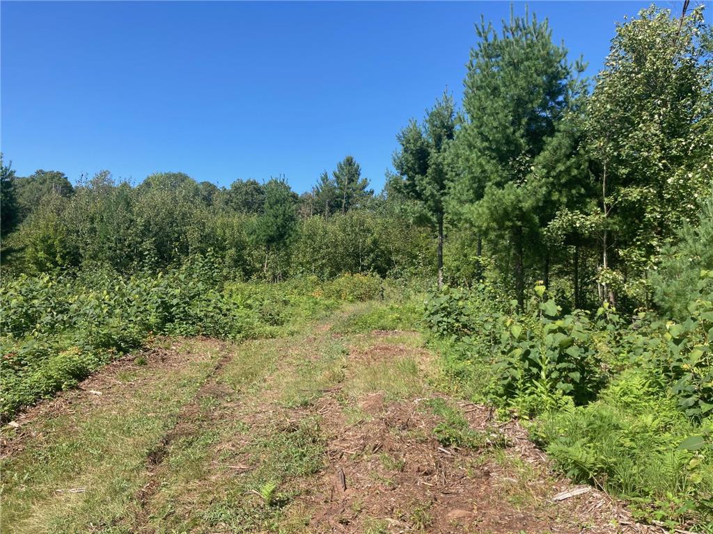 Lot 4 Surely Drive Siren Twp WI 54872 6673510 image23