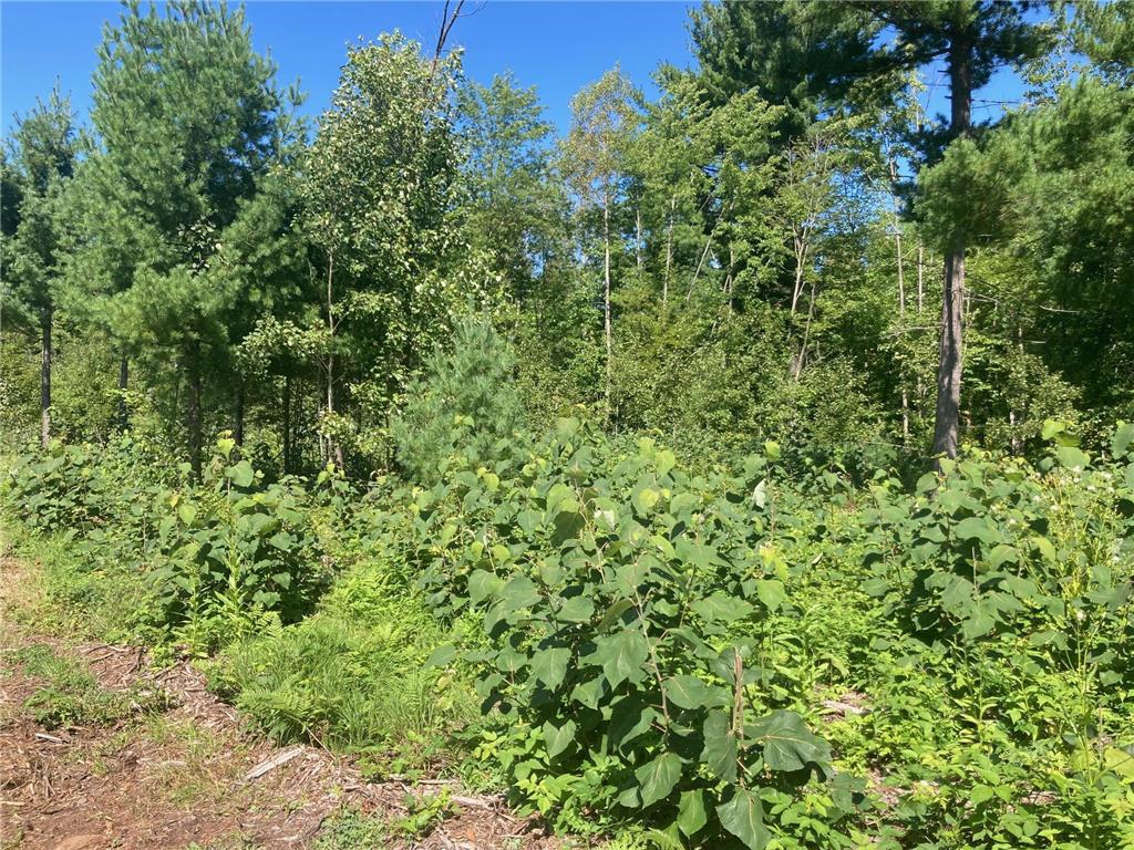 Lot 4 Surely Drive Siren Twp WI 54872 6673510 image24