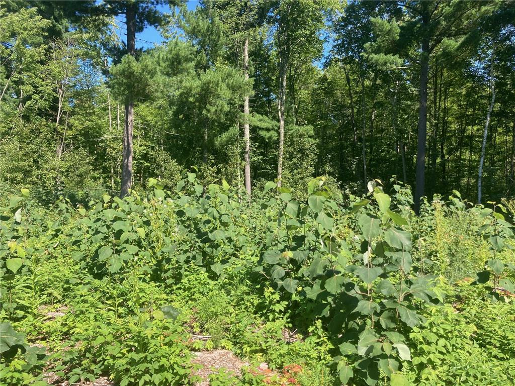 Lot 4 Surely Drive Siren Twp WI 54872 6673510 image25