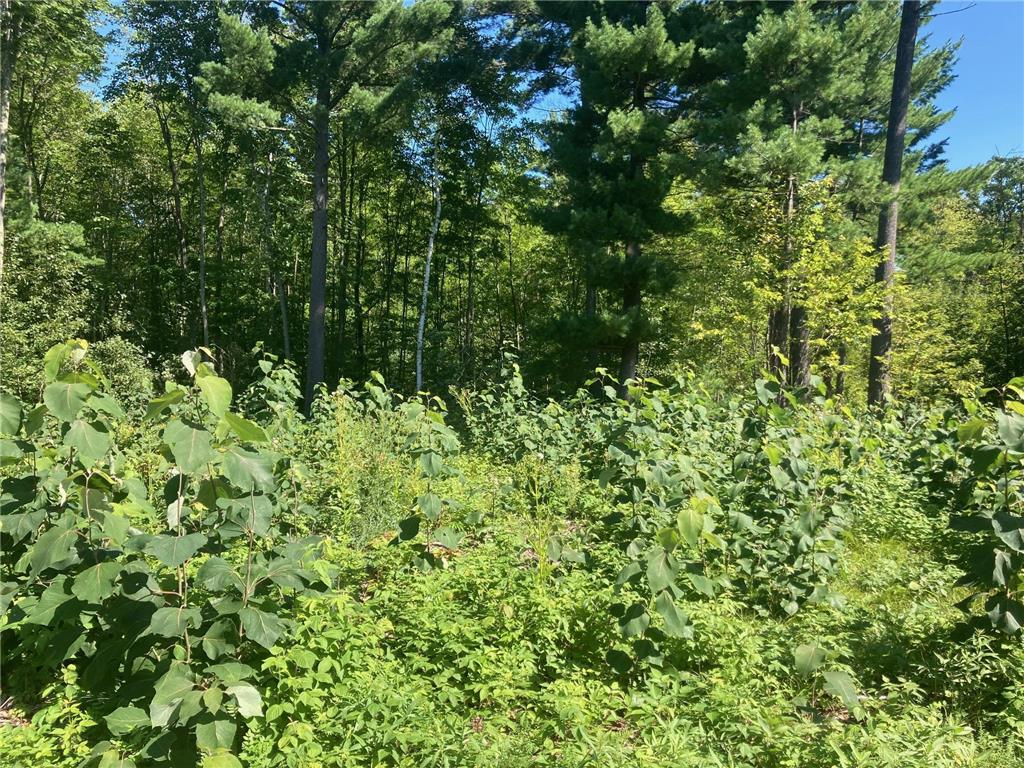 Lot 4 Surely Drive Siren Twp WI 54872 6673510 image26