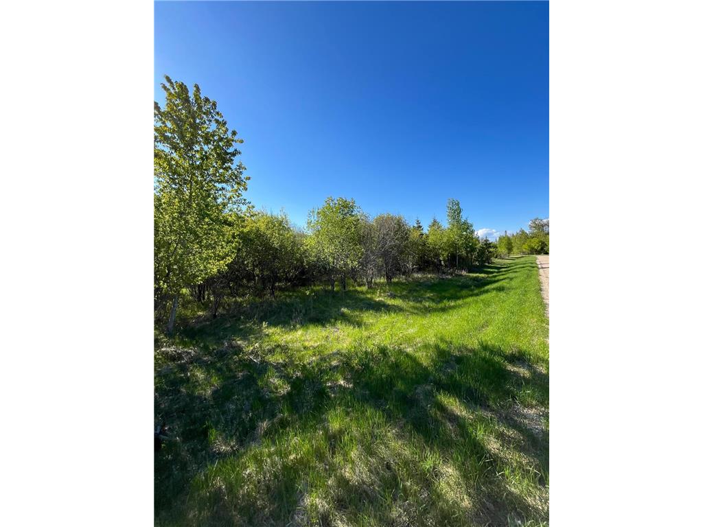Lot 4 - TBD 330th Street Warroad MN 56763 6823904 image1