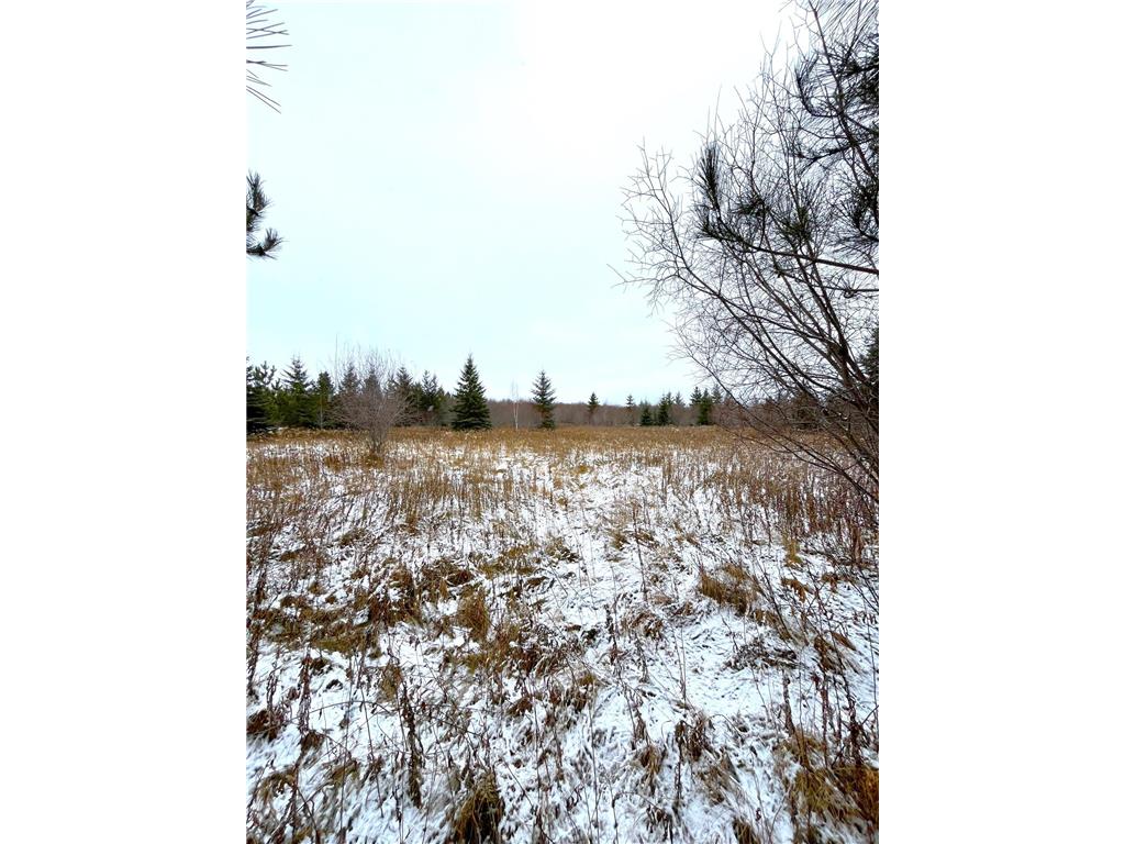 Lot 4 - TBD 330th Street Warroad MN 56763 6823904 image10