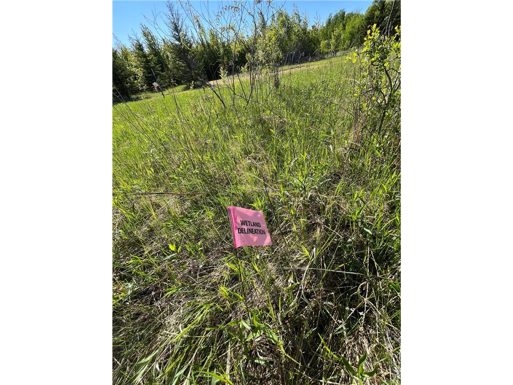 Lot 4 - TBD 330th Street Warroad MN 56763 6823904 image12
