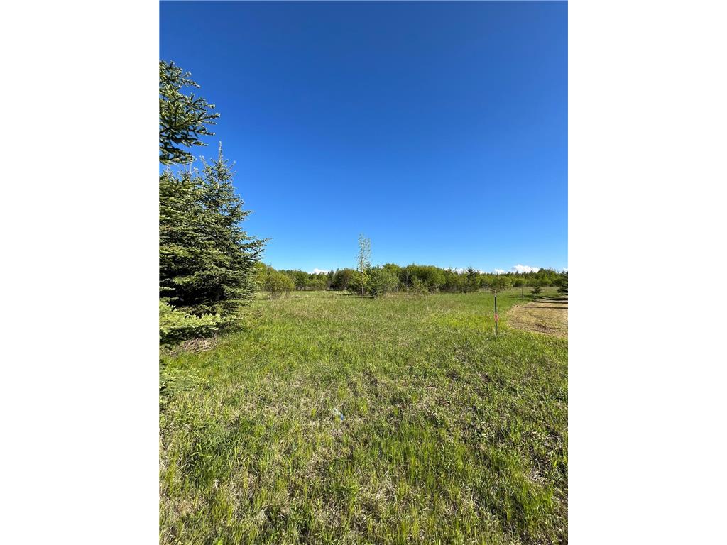 Lot 4 - TBD 330th Street Warroad MN 56763 6823904 image3