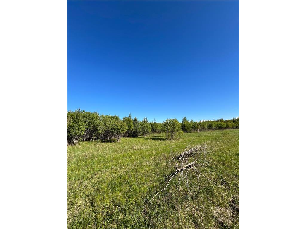 Lot 4 - TBD 330th Street Warroad MN 56763 6823904 image4