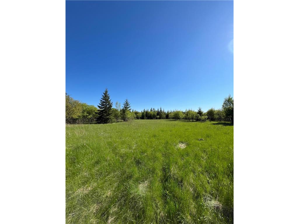 Lot 4 - TBD 330th Street Warroad MN 56763 6823904 image5