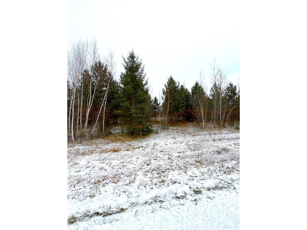Lot 4 - TBD 330th Street Warroad MN 56763 6823904 image6
