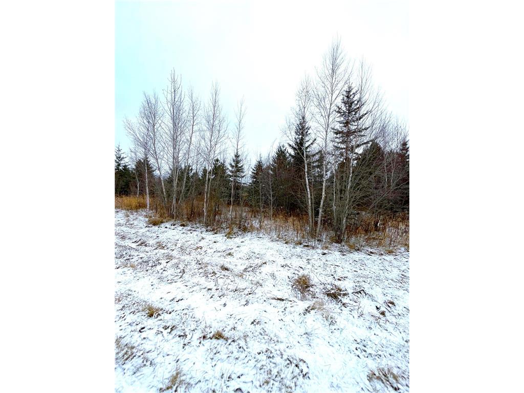 Lot 4 - TBD 330th Street Warroad MN 56763 6823904 image7