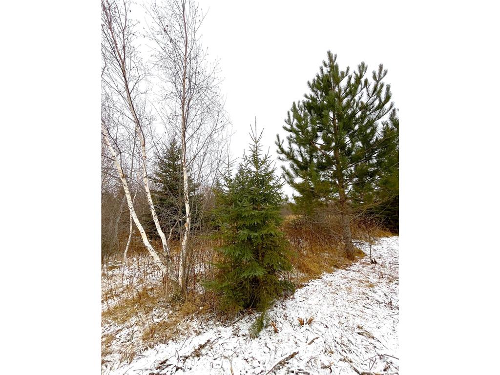 Lot 4 - TBD 330th Street Warroad MN 56763 6823904 image8