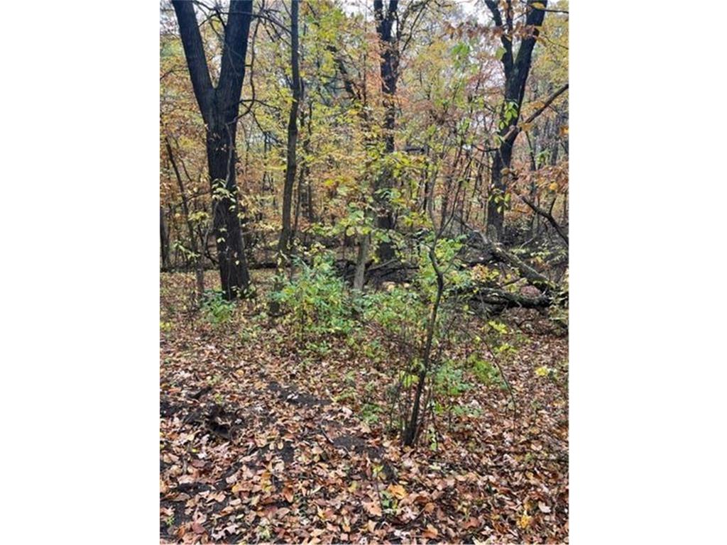 Lot 4 Tiger Street NW Princeton MN 55371 - Blue 7086141 image17