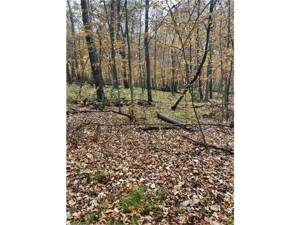 Lot 4 Tiger Street NW Princeton MN 55371 - Blue 7086141 image18